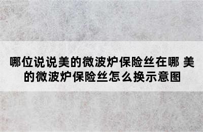 哪位说说美的微波炉保险丝在哪 美的微波炉保险丝怎么换示意图